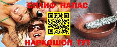 СК Пугачёв