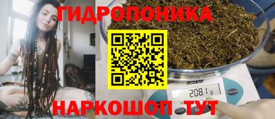 СК Пугачёв