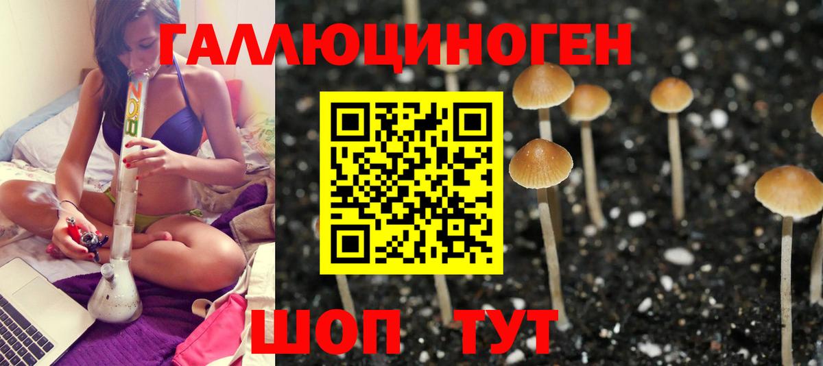 Галлюциногенные грибы Cubensis  Галлюциногенные грибы Cubensis  Вход с VPN  Соликамск 
