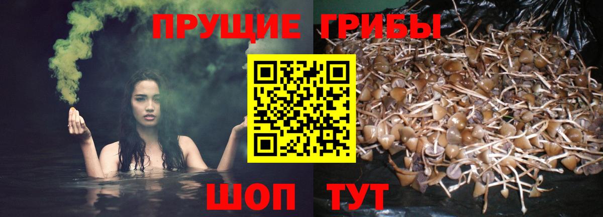 Галлюциногенные грибы мухоморы Соликамск